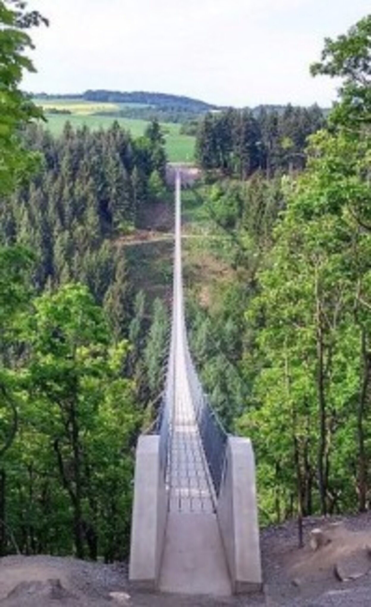 Ha__ngeseilbru__cke_Geierlay